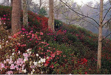 《铁拳8》PS5版将支持触觉反馈和3D音频